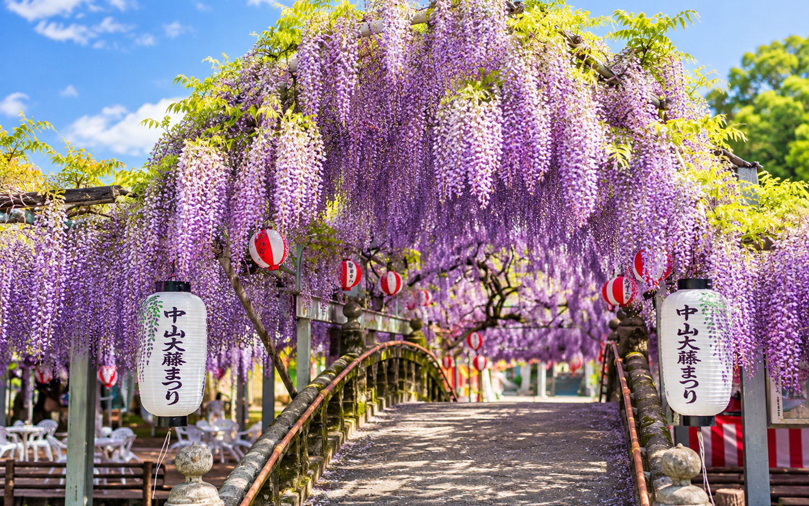 春の柳川